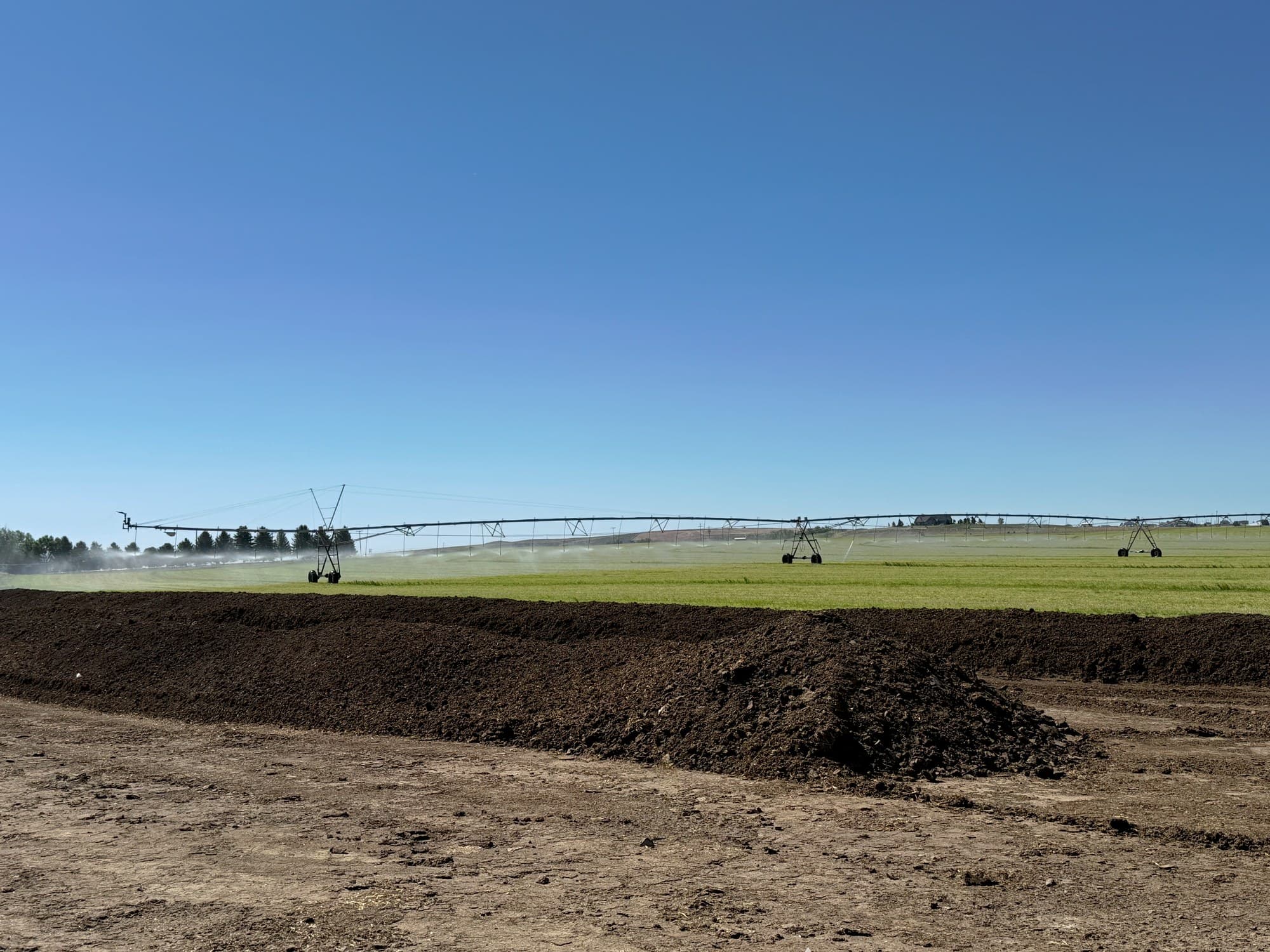 Dark, healthy soil on an organic field