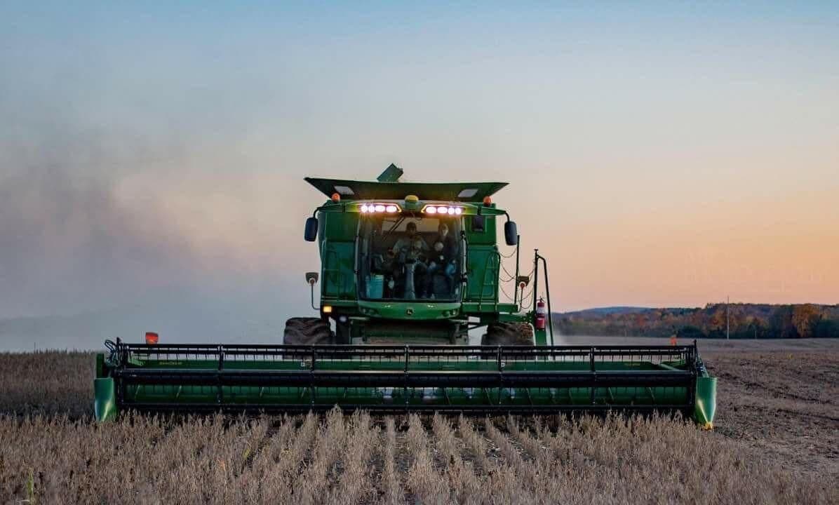 Combine harvesting soybeans at dusk