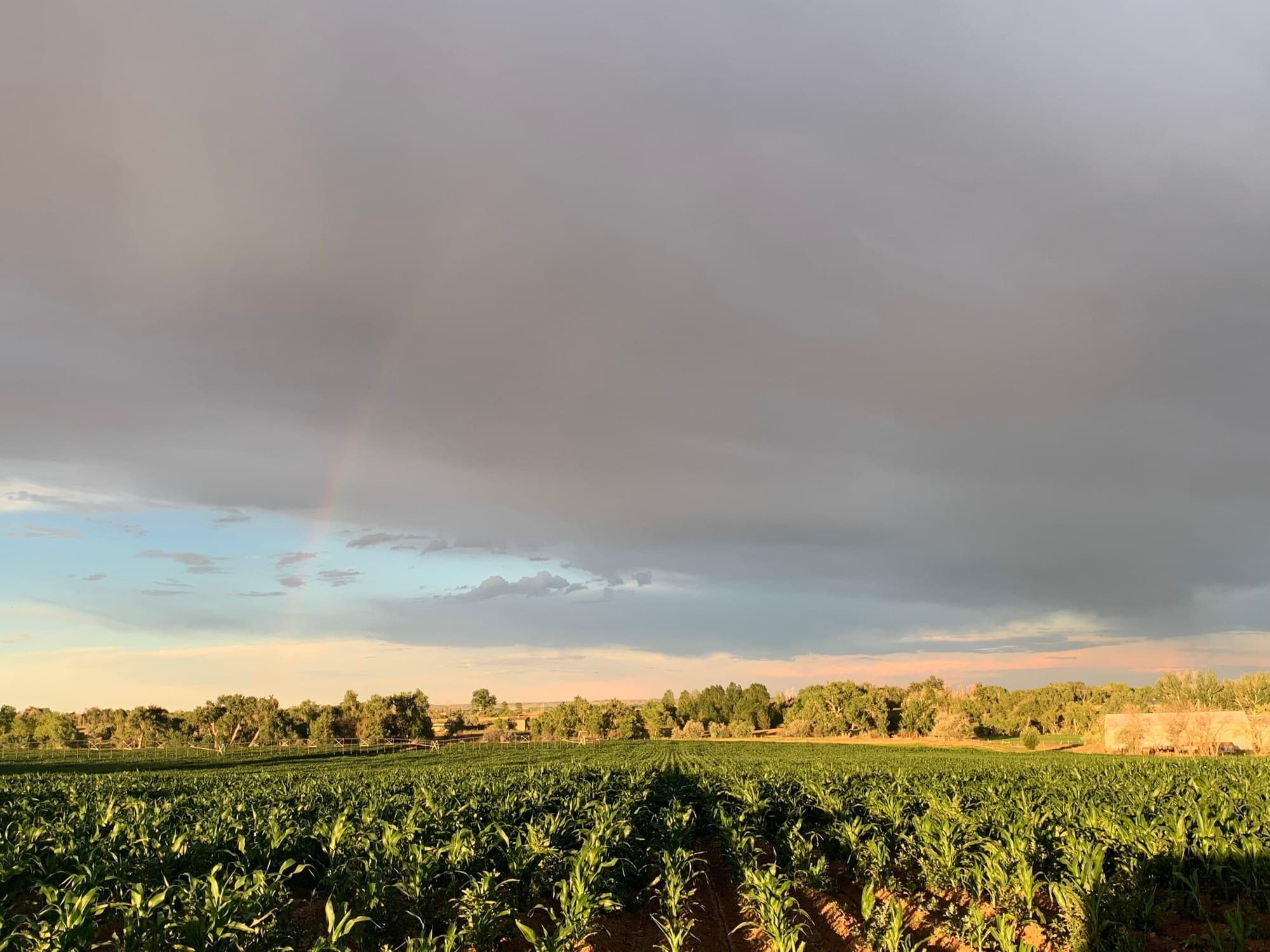 Storm clouds and a faint rainbow over a crop field at dusk